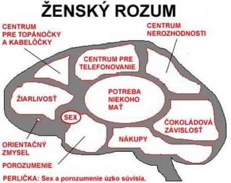Obrazek